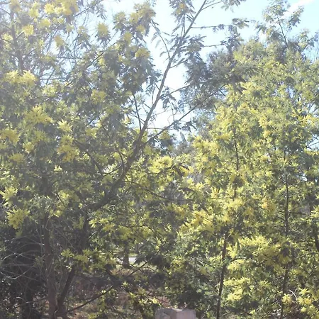 Les Du Houron Oda ve Kahvaltı Moliets-et-Maa