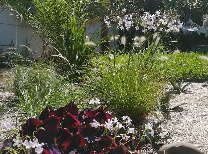 Les Du Houron Moliets-et-Maa