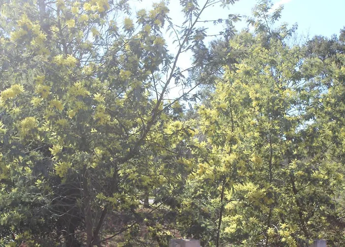 Les Du Houron Bed & Breakfast Moliets-et-Maa